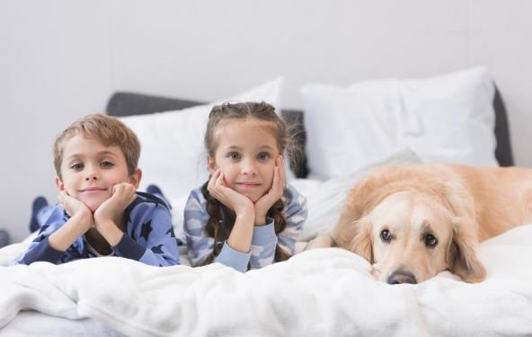 9 najboljih pasmina pasa za vaše dijete