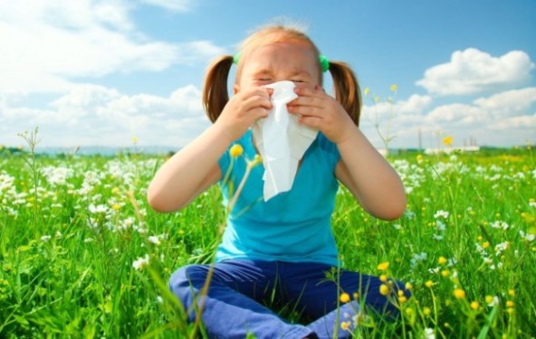Hranom protiv proljetne alergije