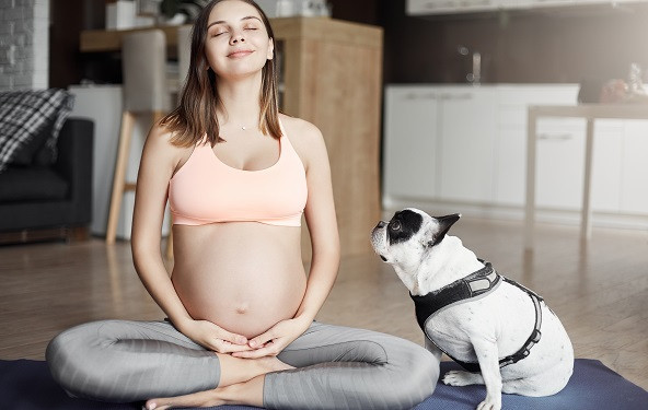 Može li tvoj psić da "nanjuši" da si trudna?