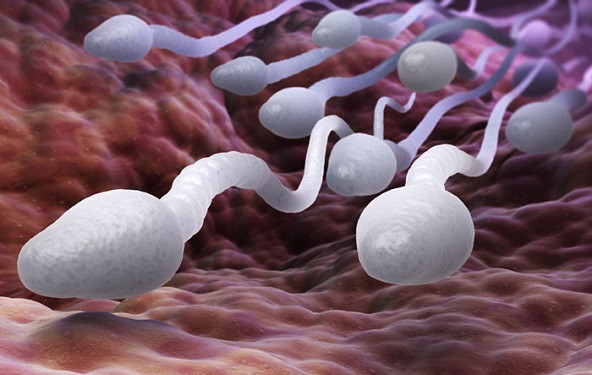 Гей-анальды секс