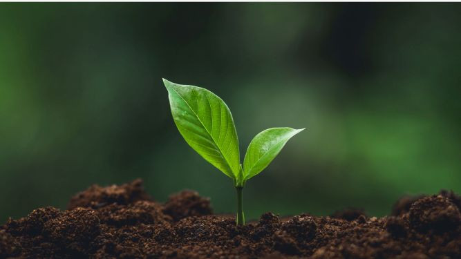 Никогаш не се откажувај, твојата сила е во истрајноста