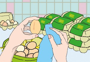 Jajca očistijo in označijo