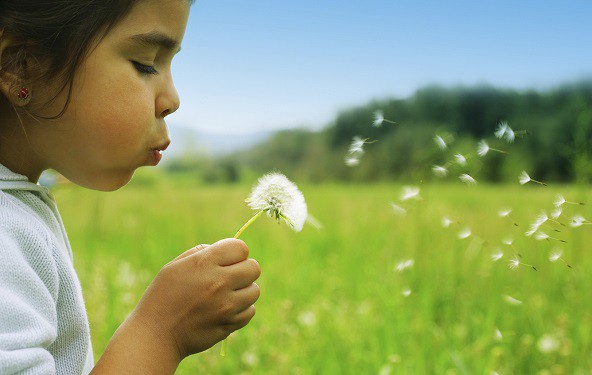 Alergija na cvetni prah pri otroku