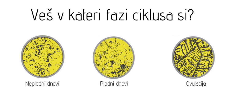 Ovulacijski test MaybeBaby Ovulacijski test MaybeBaby