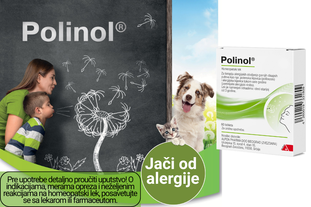 Polinol Polinol
