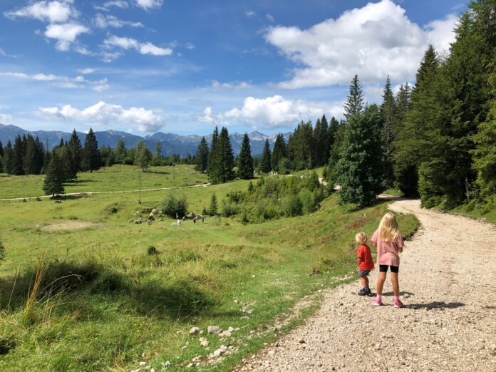 Pokljuka Pokljuka