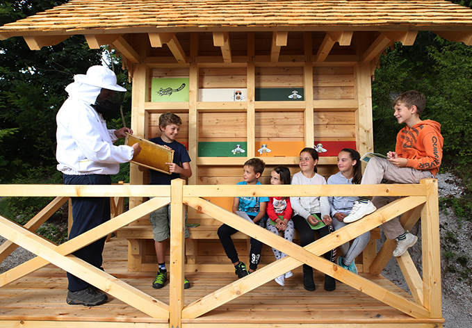 družinska dogodivščina družinska dogodivščina