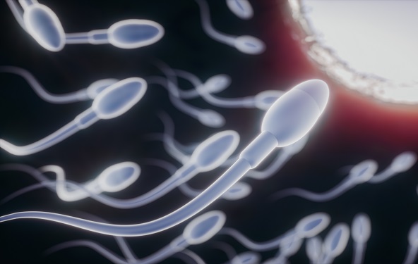 Kako izgleda zdrava i plodna sperma? - Neplodnost - Ringeraja.rs