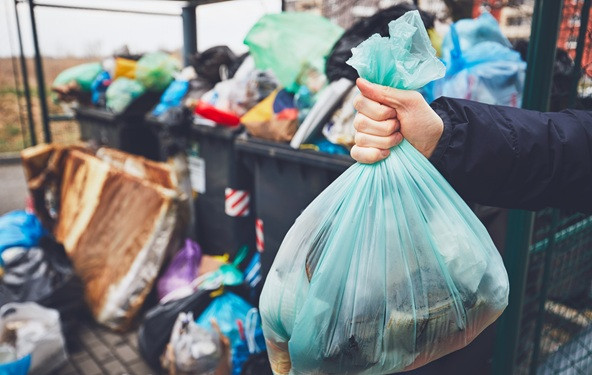 6 opasnih bolesti koje prenose glodari