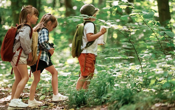 Slovenija uvodi terapiju šumom u škole